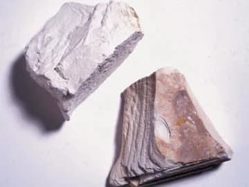 Representative kaolin mineral samples